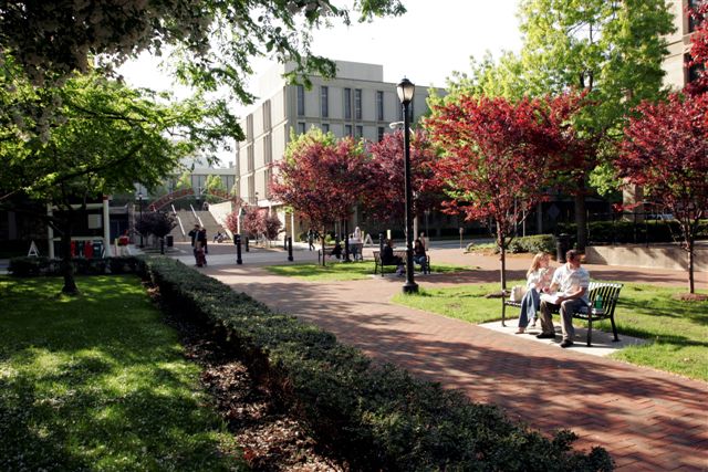 newark campus in summer
