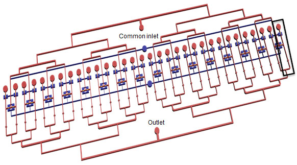 lab-on-a-chip schematic