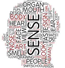 Sense Head Sense Head