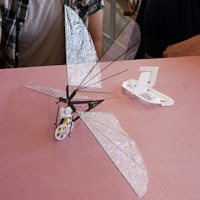 robotic insect