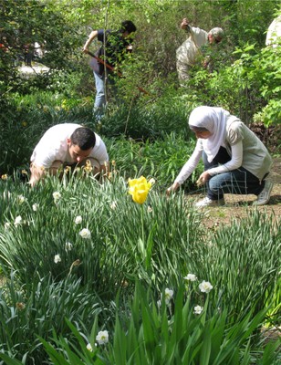 Earth Day at r-n