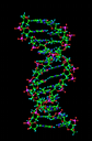 dna