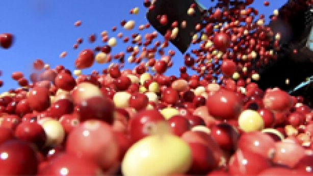 Cranberries