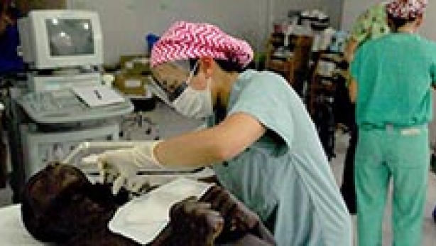 Image of Christine Mau treating a patient in Haiti.
