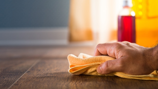 How to Get Rid of Cockroaches and Other Pests: