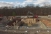 <br />
	A foundation was prepared in November of 2014 alongside Road 1 on the Livingston campus for the BEAST. Story<br />
